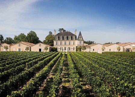 nuance Mælkehvid Følsom Learn about Chateau Grand Puy Lacoste Pauillac, Complete Guide