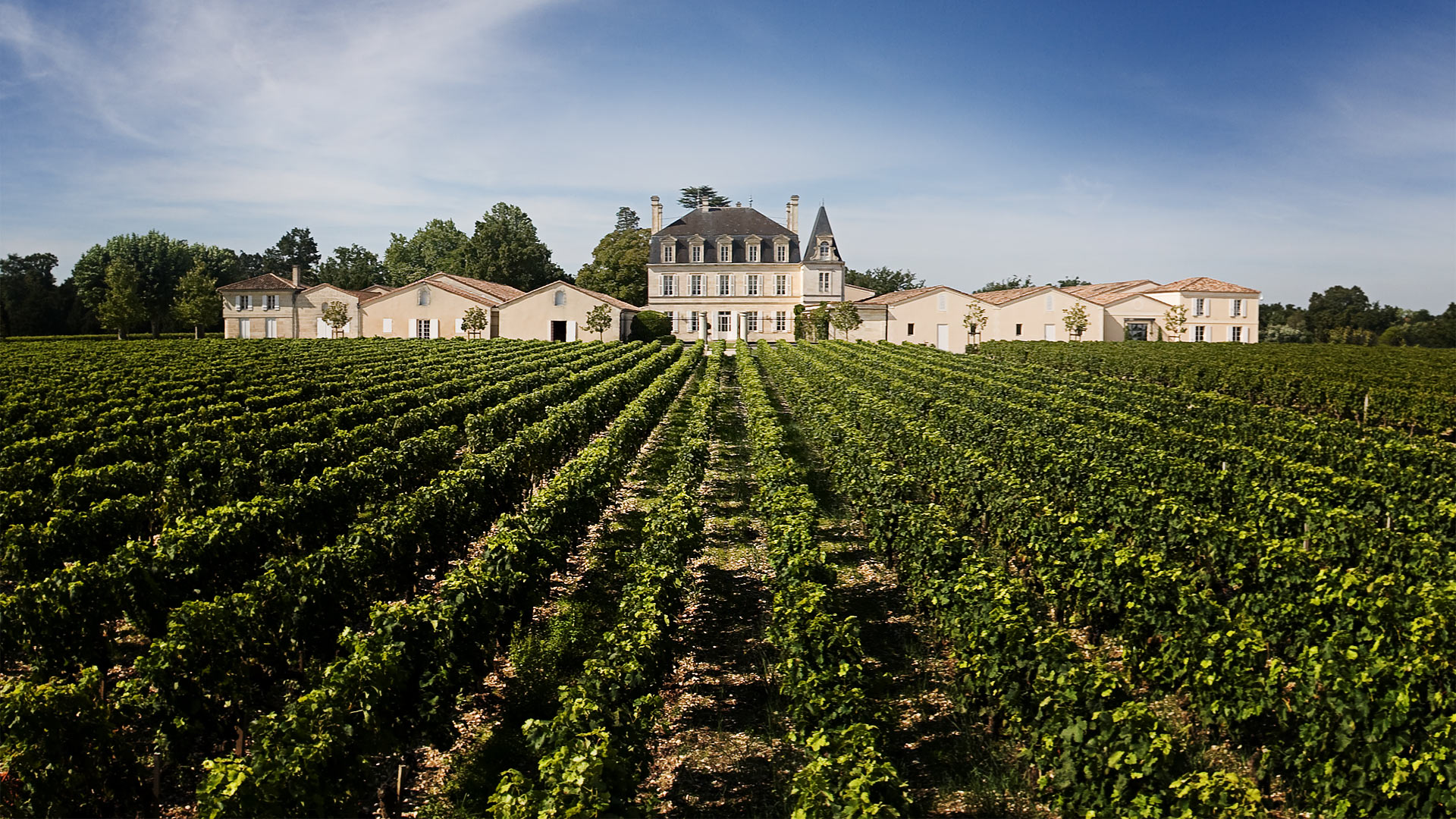 nuance Mælkehvid Følsom Learn about Chateau Grand Puy Lacoste Pauillac, Complete Guide