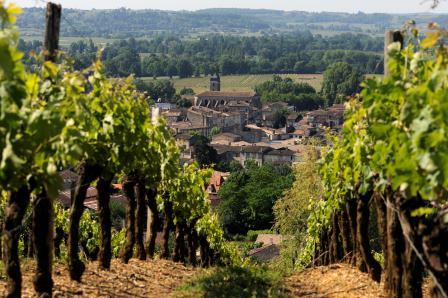 French Wine Classifications AOC Law Wine Grapes Vineyards of France