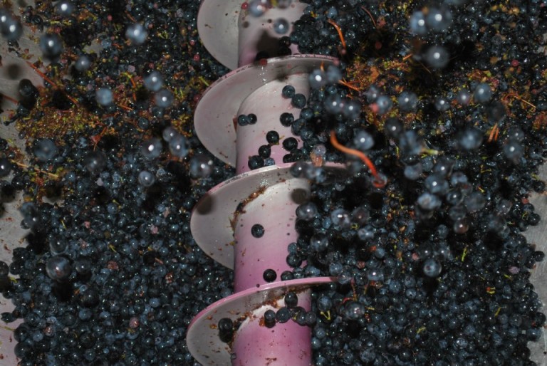 Grape Crushing | The Wine Cellar Insider