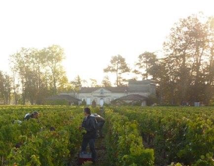 Chateau Le Pape Pessac Leognan Bordeaux, Complete Guide